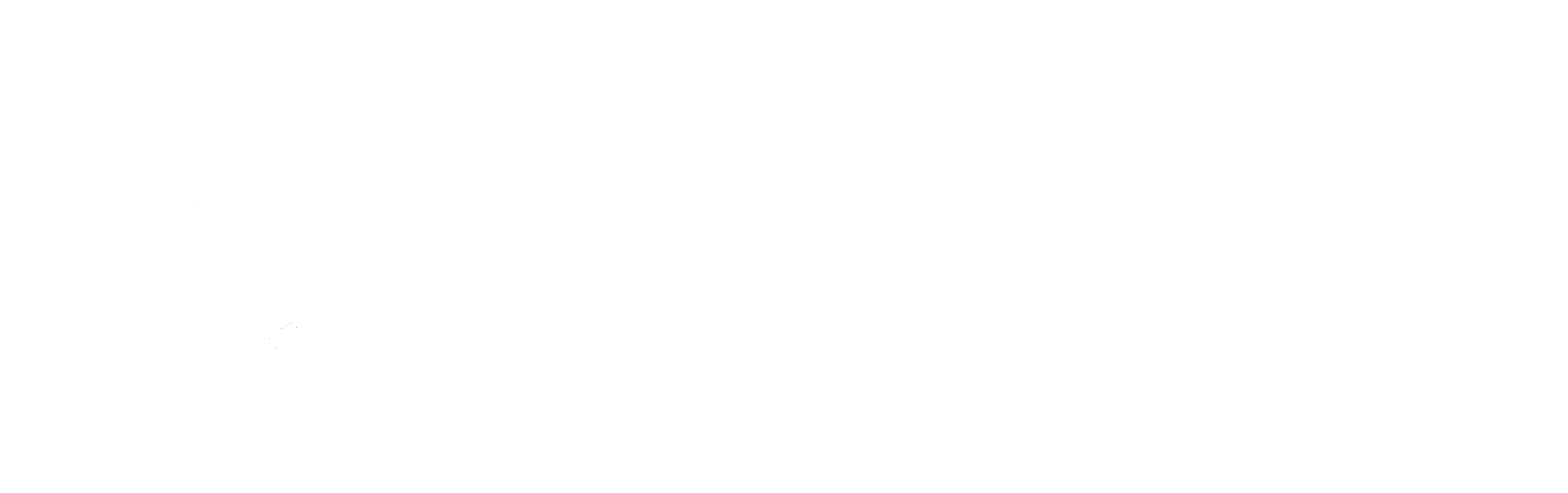 NSBLC Logo